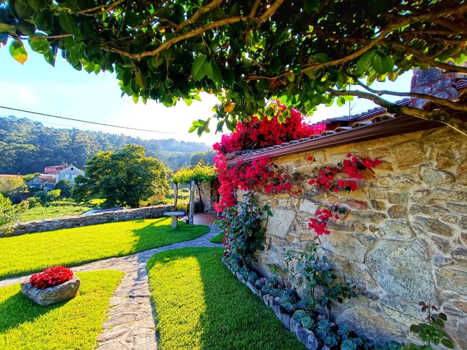 Day, Natural landscape, Garden view
