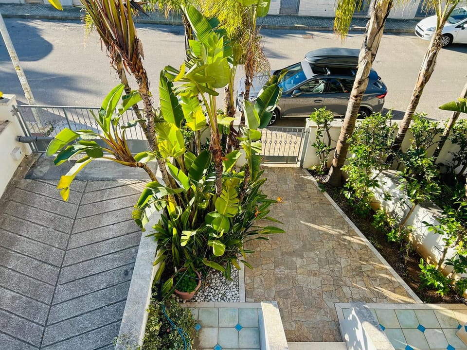 Garden, Garden view, Parking
