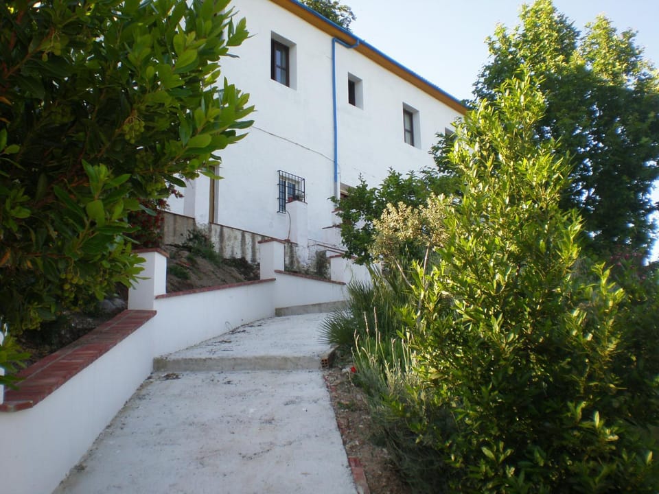 Garden, Garden view
