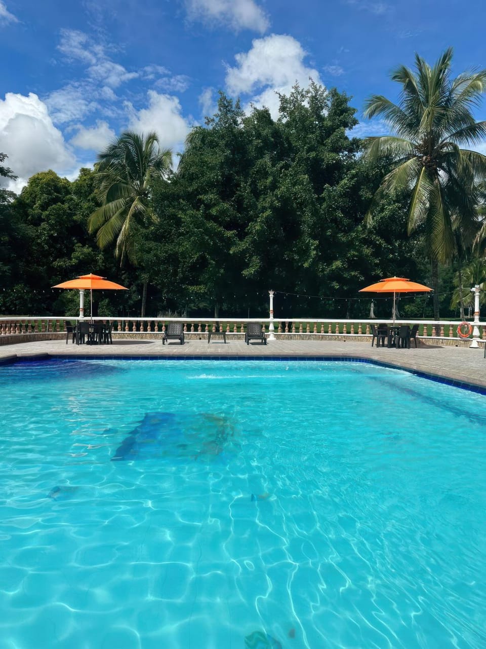 Day, Pool view, Swimming pool, sunbed
