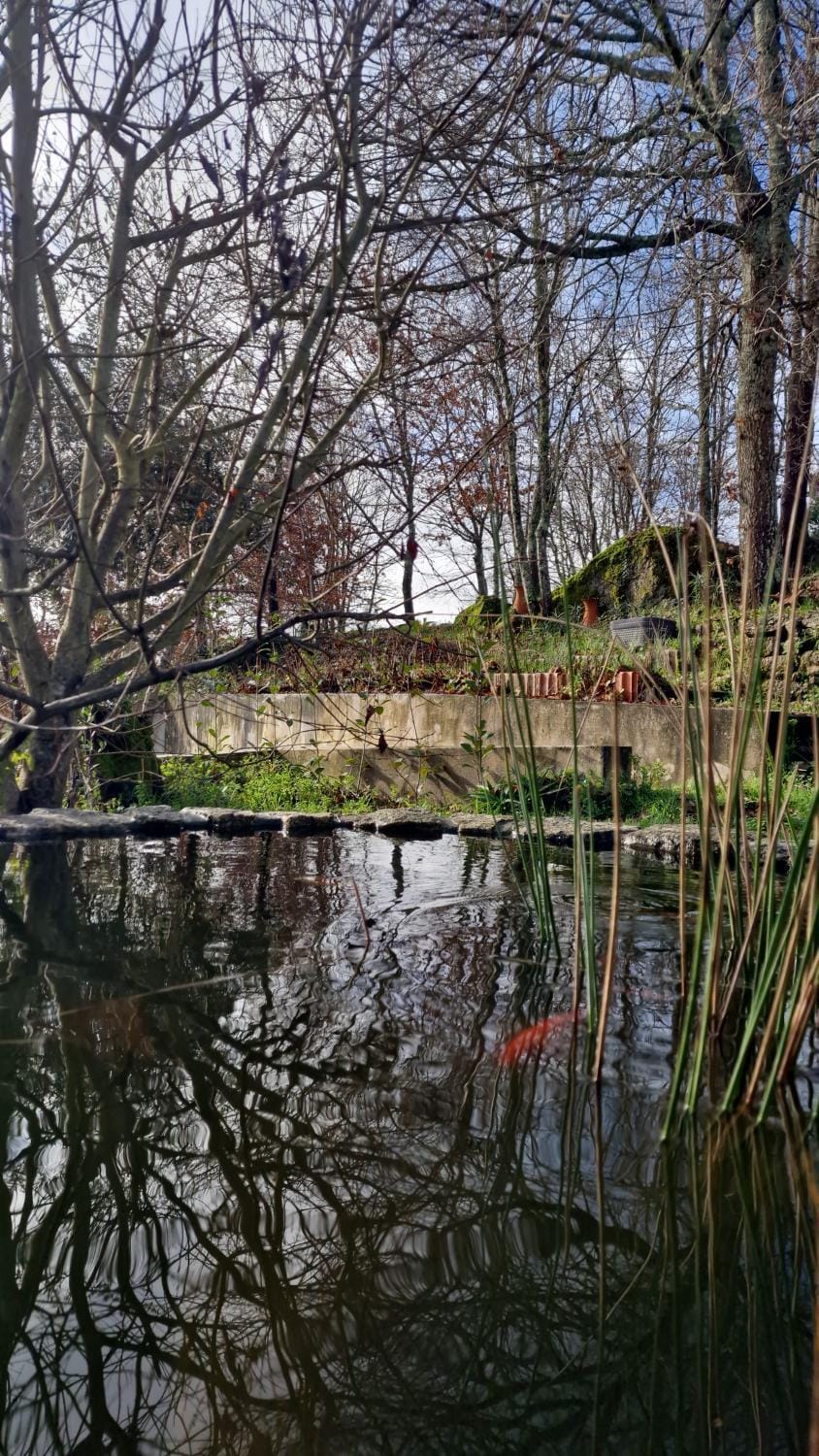 Natural landscape