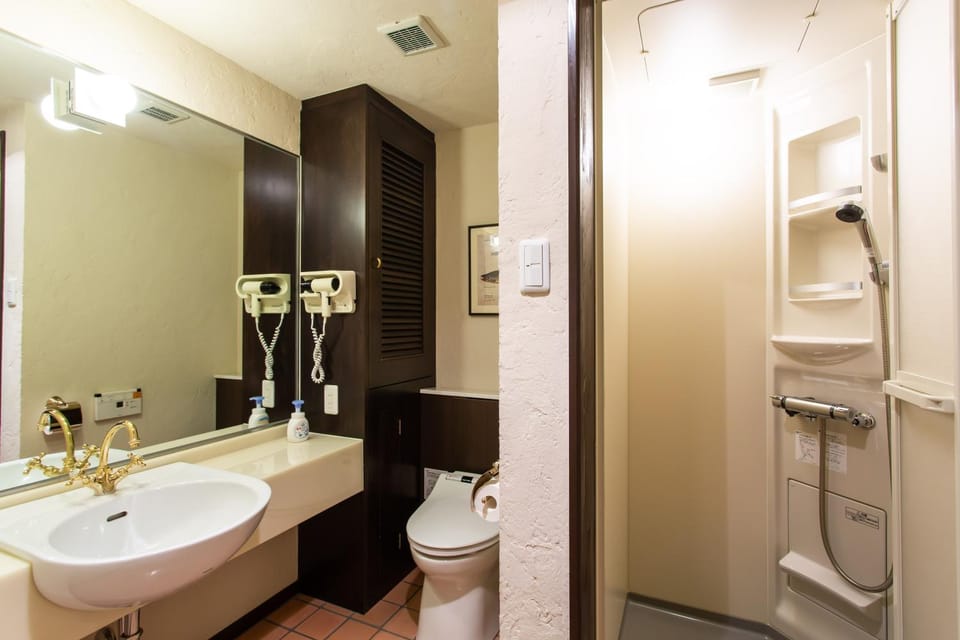 Shower, Photo of the whole room