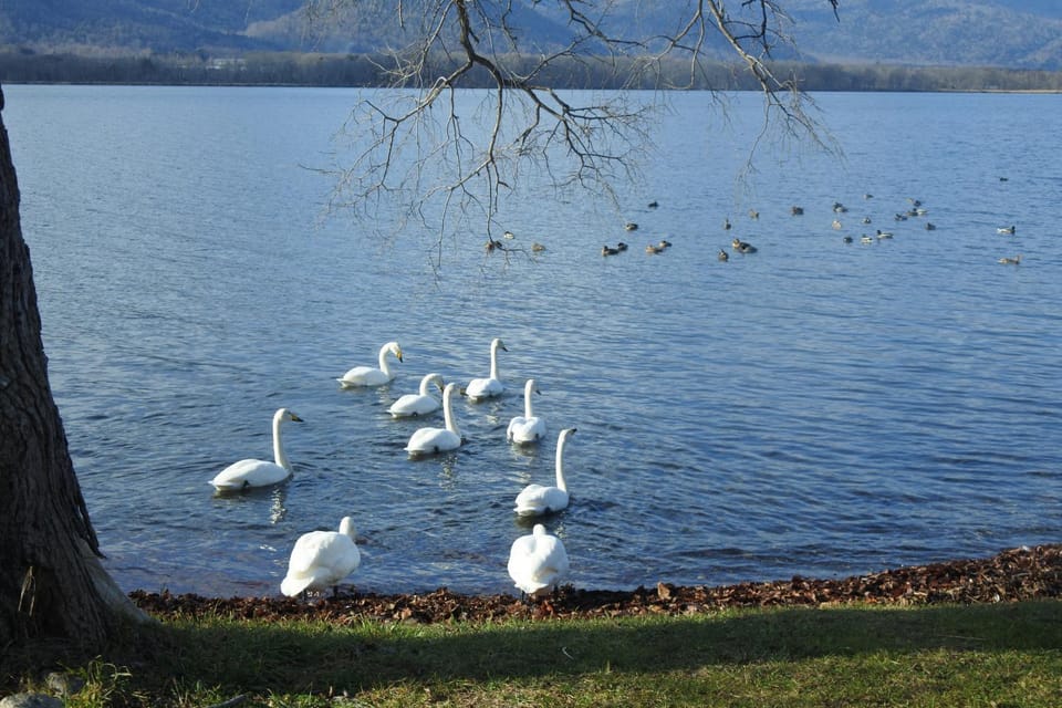 Natural landscape, Lake view