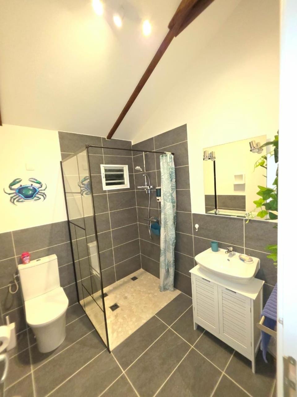 Shower, Toilet, Bathroom
