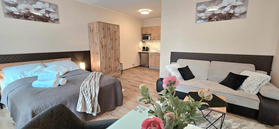 Bed, Seating area, towels