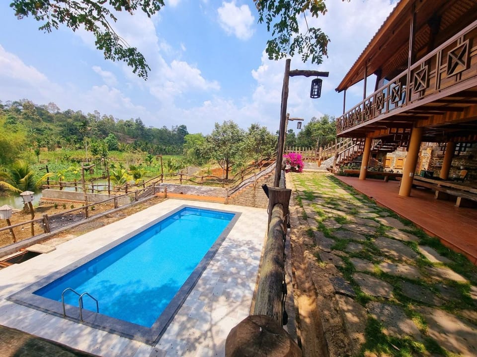 Day, Pool view, Swimming pool