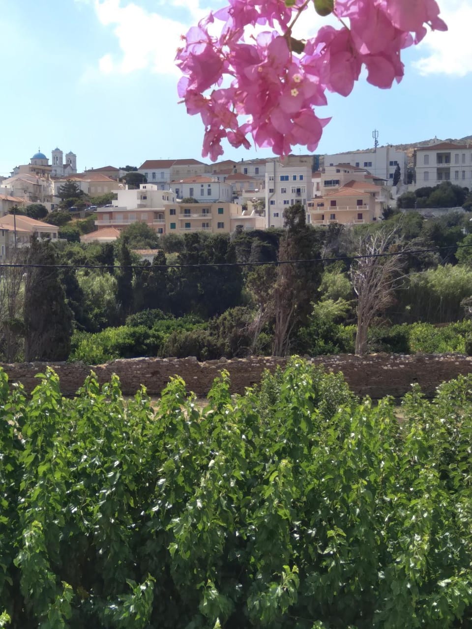 Iokasti studios Apartment in Decentralized Administration of the Aegean