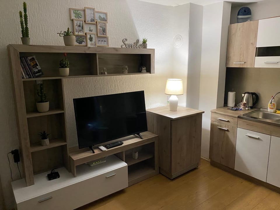 TV and multimedia