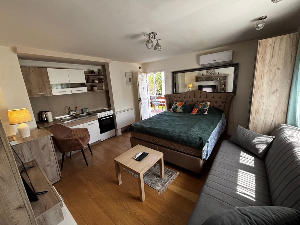Photo of the whole room