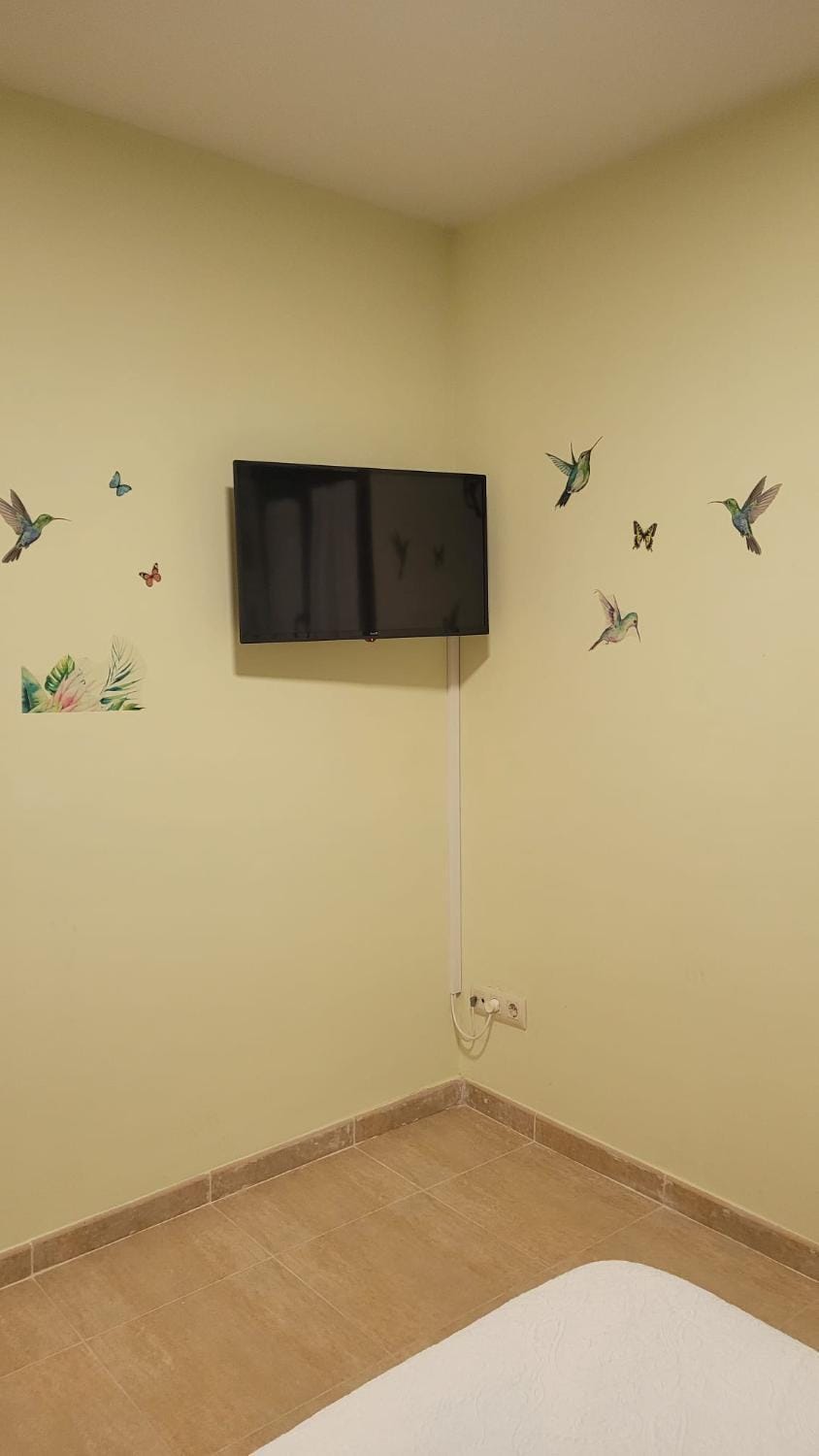 TV and multimedia