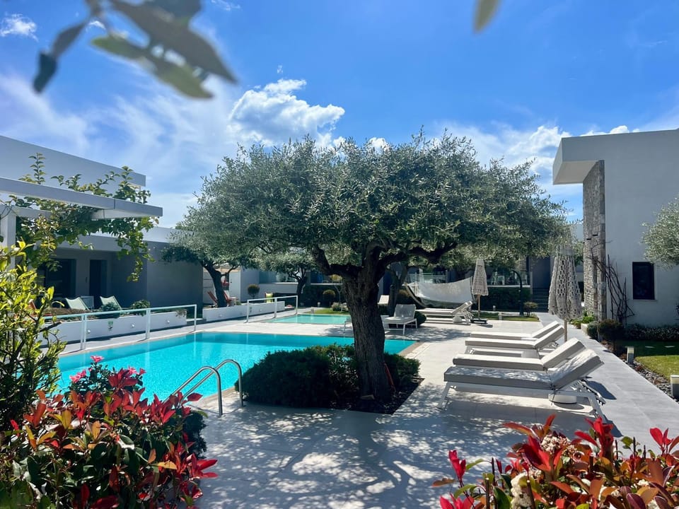 Property building, Spring, Day, Garden, Garden view, Pool view, Swimming pool, sunbed