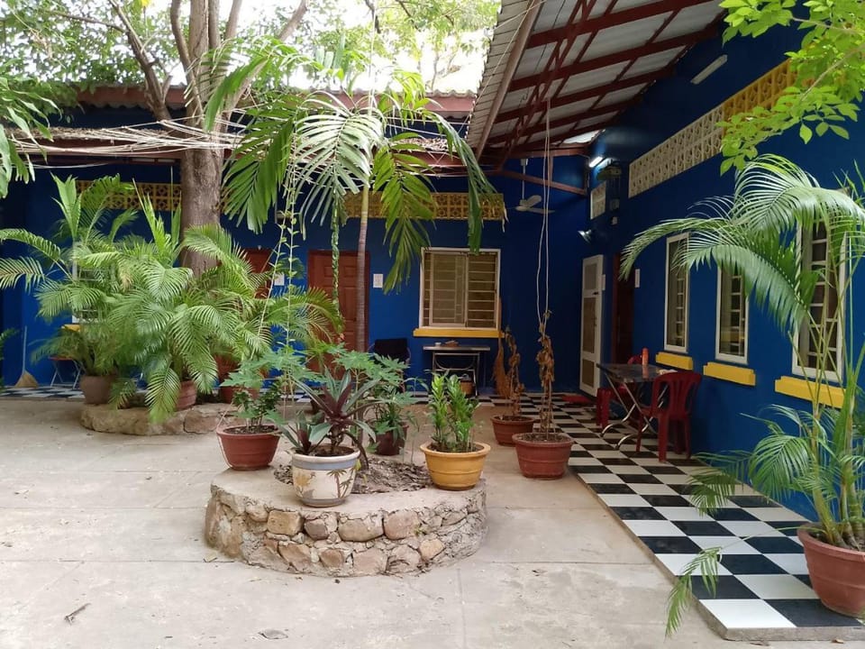 Patio, Day, Garden, Garden, Balcony/Terrace, Garden view