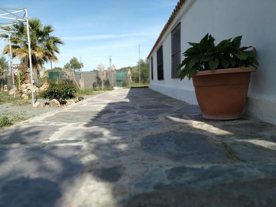 Casa Rural en Montellano (53km de Sevilla) Chalet in Sierra de Cádiz