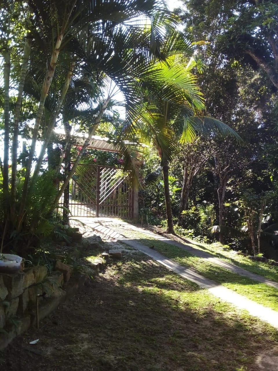 Natural landscape, Garden
