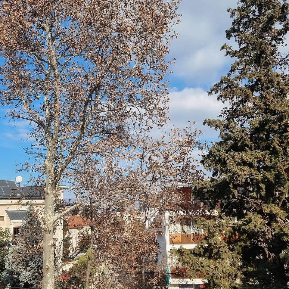 Luxury Apartment with parking space Apartment in Skopje