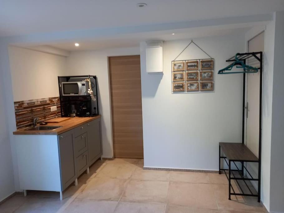 Kitchen or kitchenette, minibar, oven