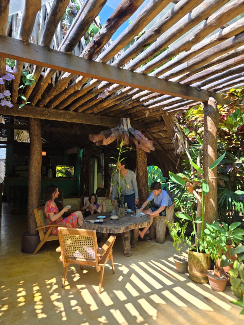 People, Garden view, group of guests