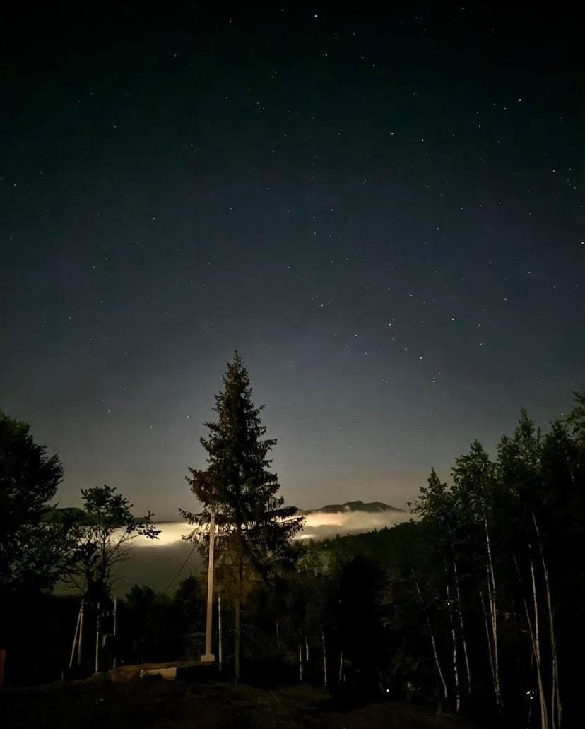Night