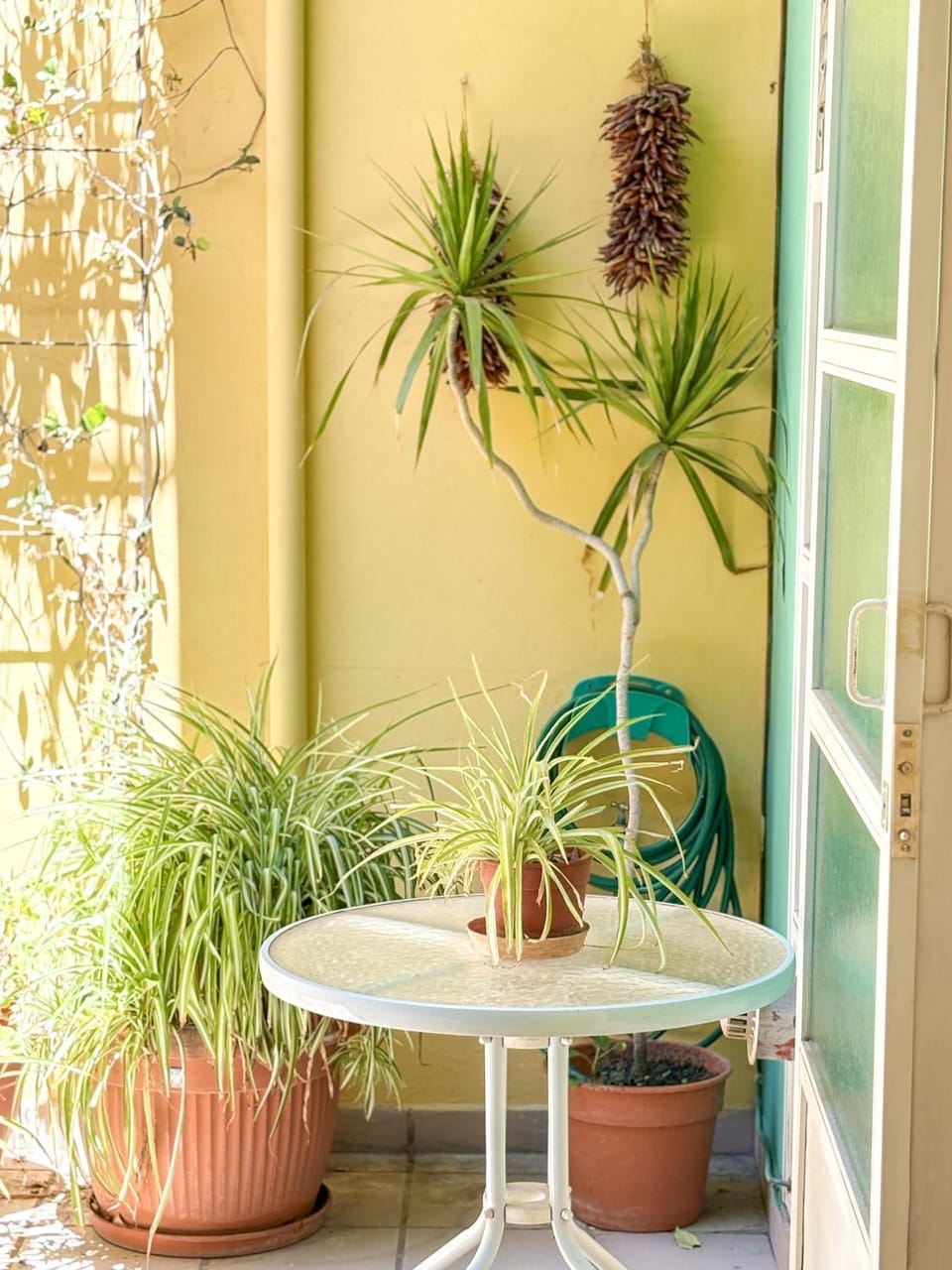 Patio, Day, Garden, Garden view