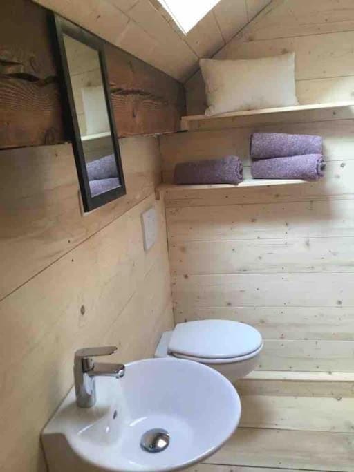Toilet, Bathroom, towels