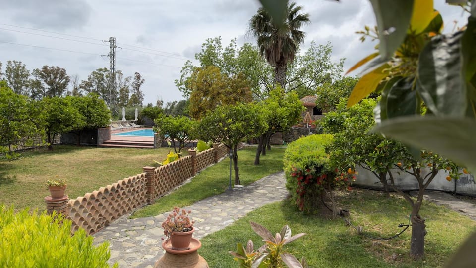 Garden, View (from property/room), Garden view, Pool view, Swimming pool