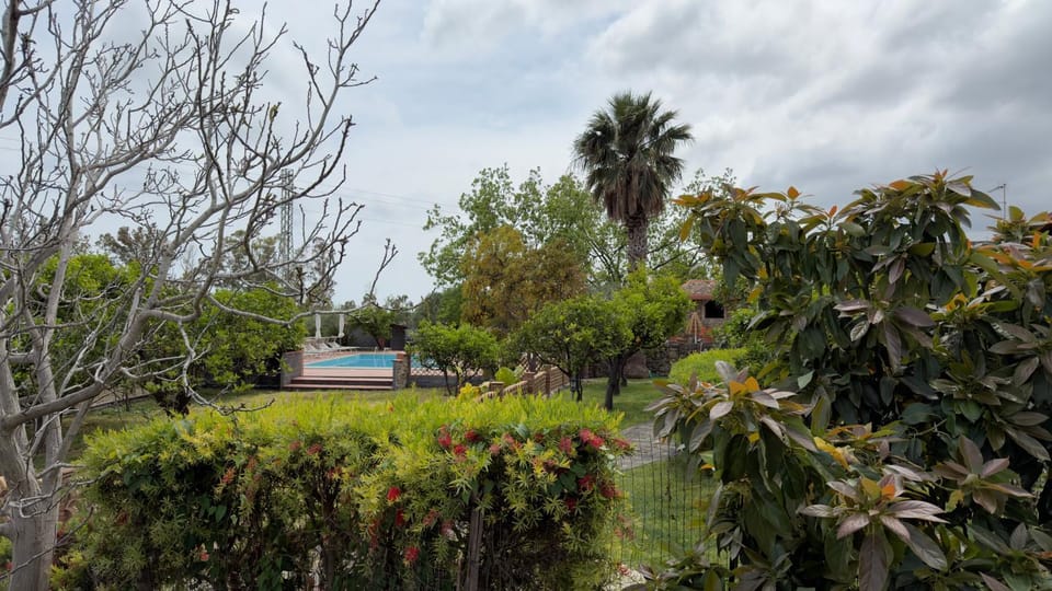 Garden, Floor plan, Swimming pool