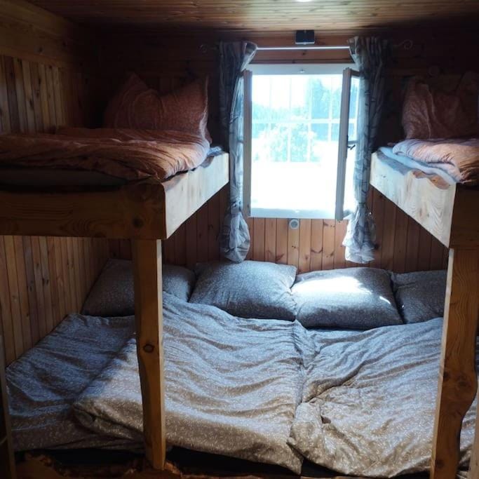 Bed, Photo of the whole room, Bedroom, bunk bed