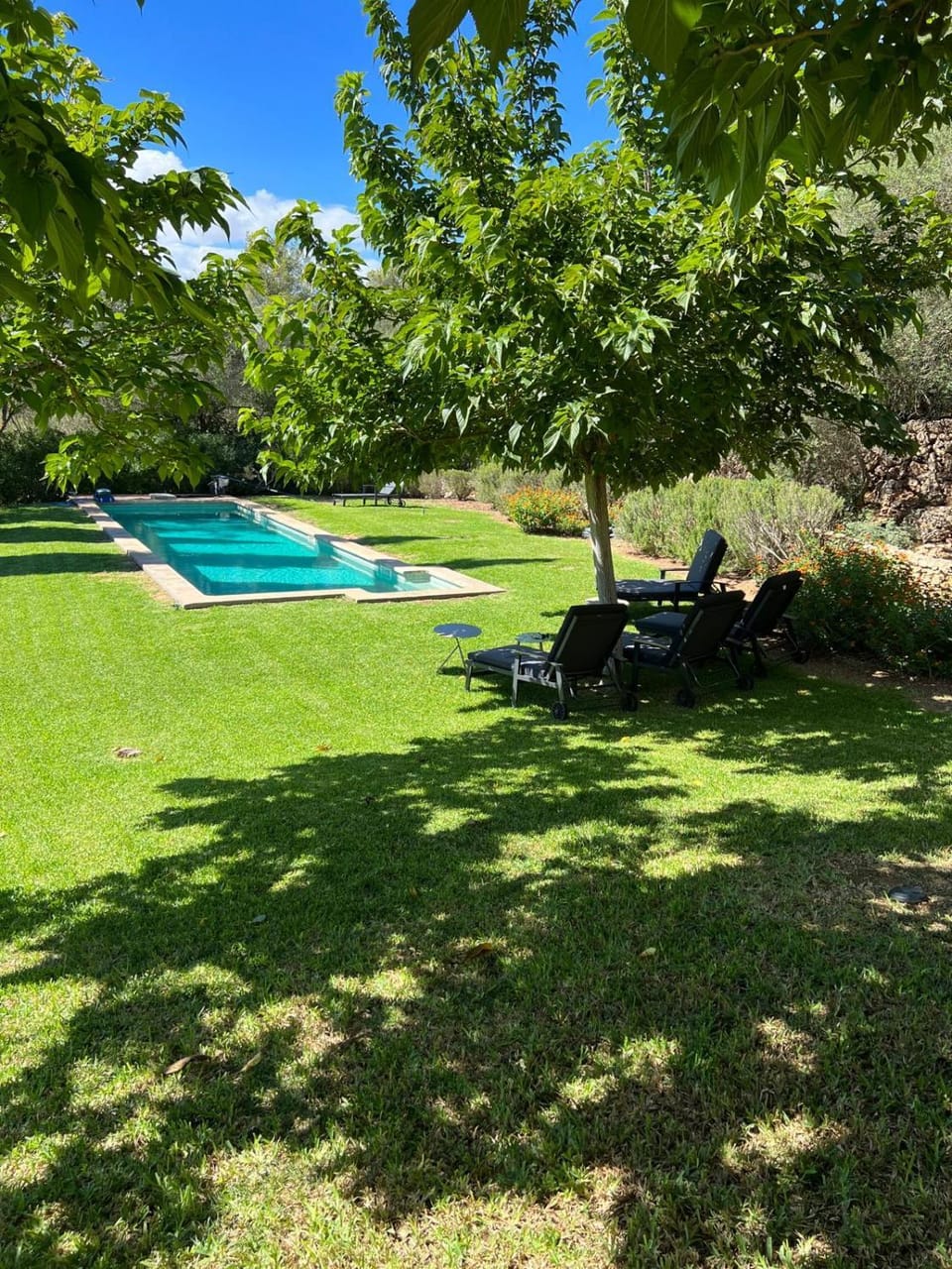 Garden, Garden view, Pool view, Swimming pool, sunbed