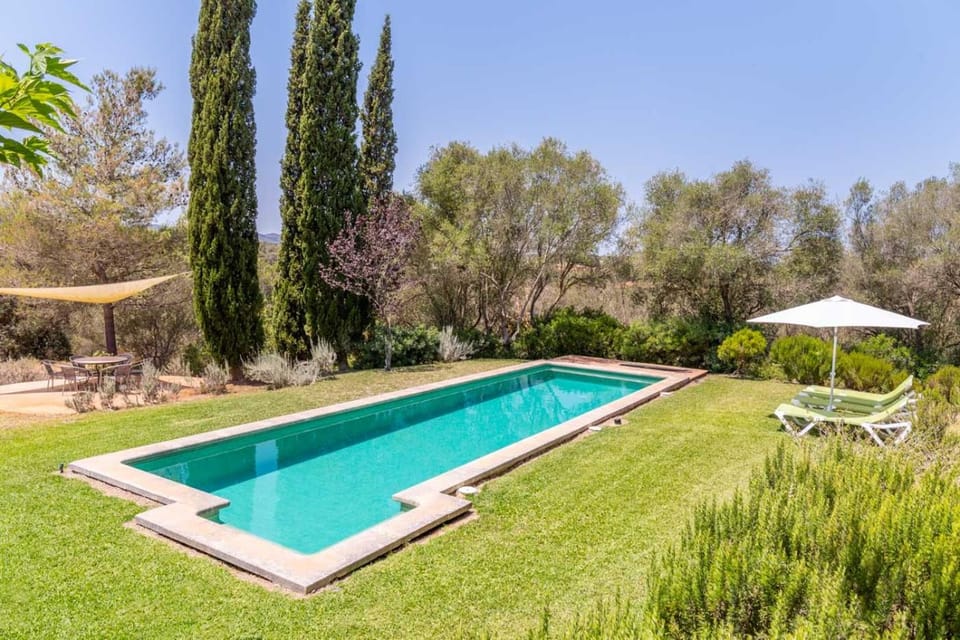 Natural landscape, Garden, Garden view, Pool view, Swimming pool, sunbed