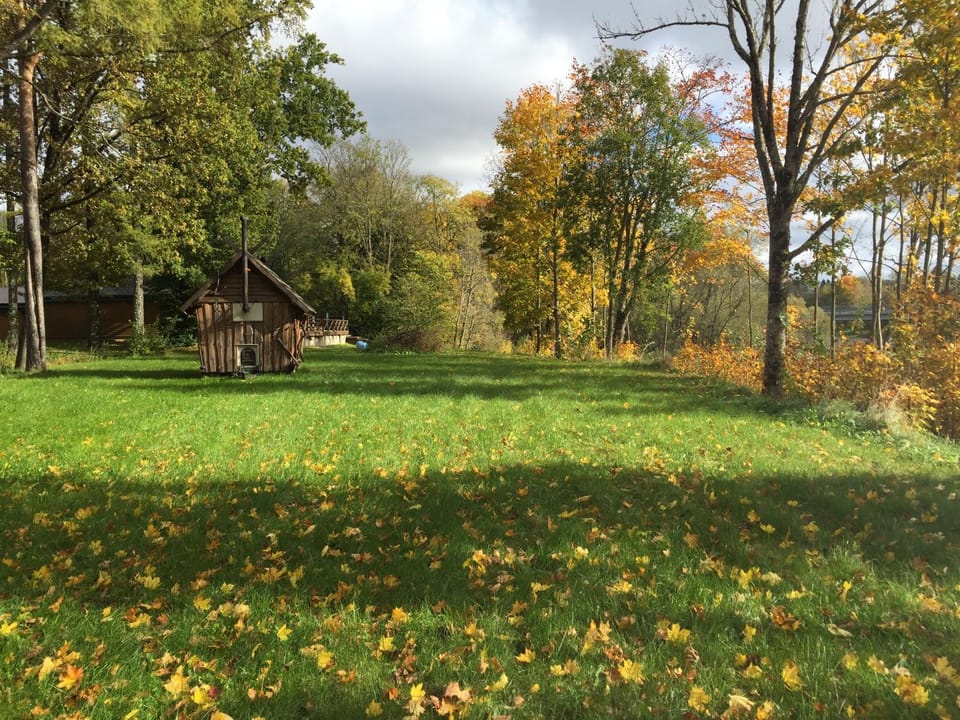 Day, Sauna, Autumn, On site, Garden view