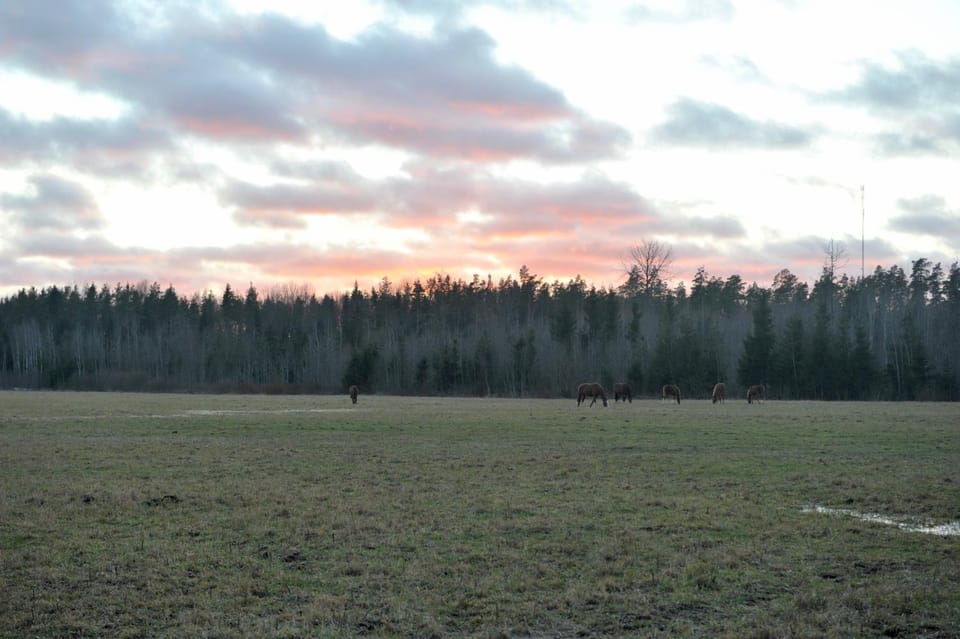 Off site, Natural landscape, Horse-riding, Hiking, Cycling, Autumn, Sunset