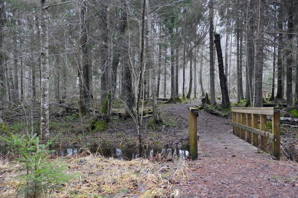 Off site, Day, Natural landscape, Hiking, Autumn