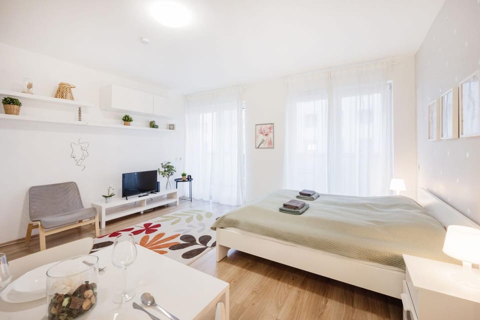 Bed, TV and multimedia