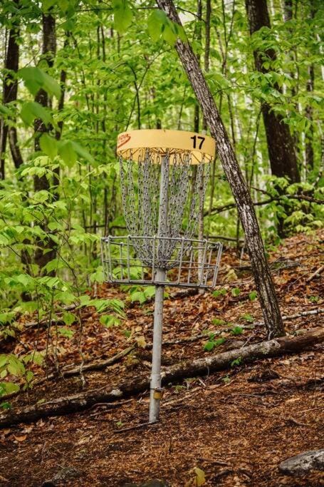 Maine Woods Treehouse-The Birdie House in Lovell