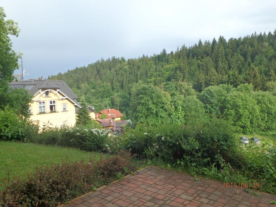 Other, Mountain view