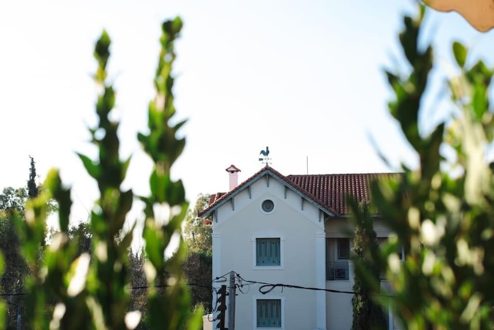 Central Kifissia BLέ LÍMε ÁPPεROL Malomar Homing Apartment in Decentralized Administration of Attica