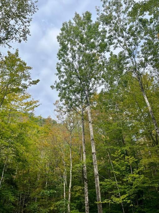 Rustic Cabin in Maine Woods-The Beech Cabin in Lovell