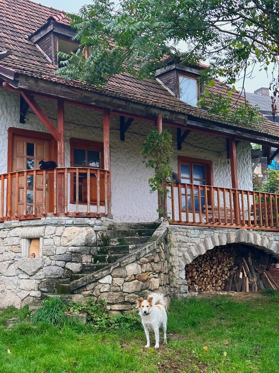 Tisnyi 7 Guest House Bed and Breakfast in Ukraine