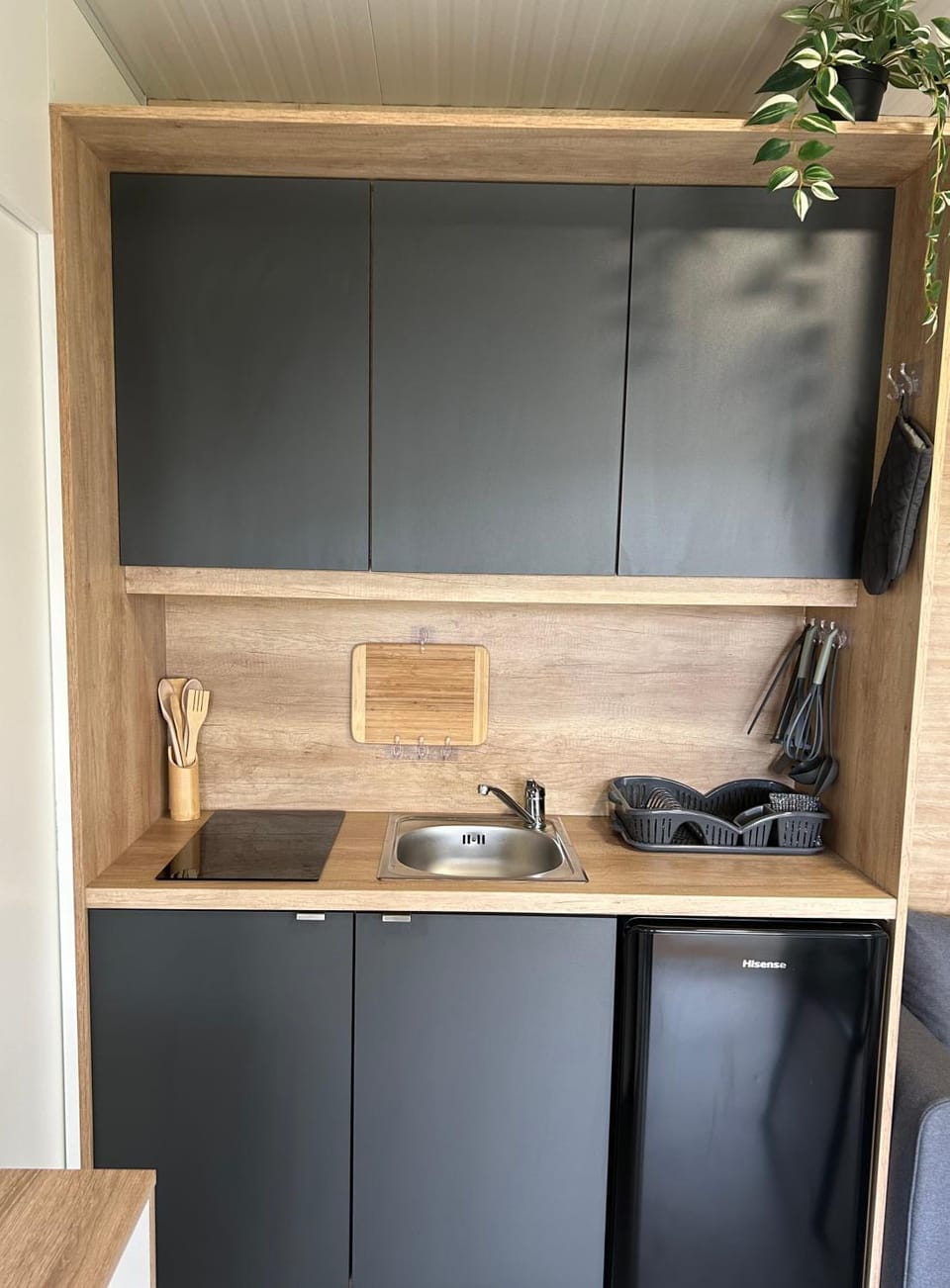 Kitchen or kitchenette, kitchen