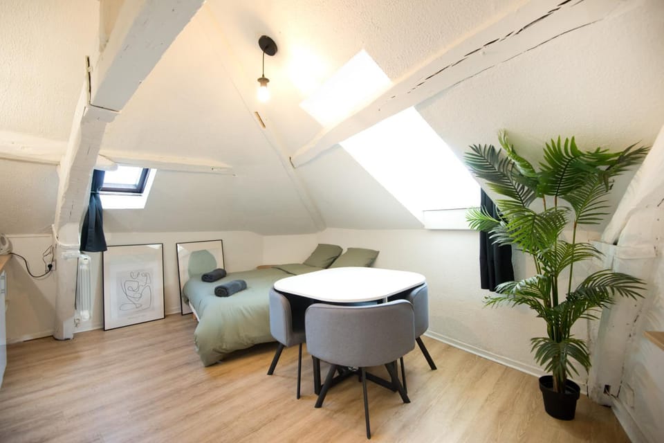 Le Cocon : studio en Hypercentre Cathédrale Apartment in Amiens