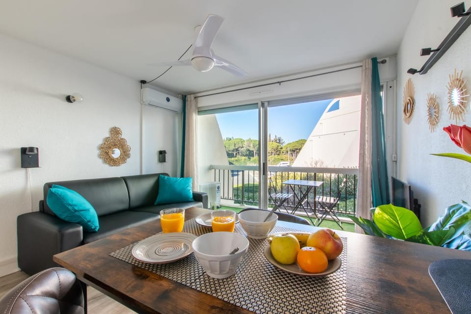 L'Éden des Vacances * clim * Terrasse * wifi *Port Apartment in La Grande-Motte