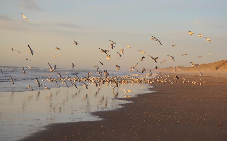 Natural landscape, Beach