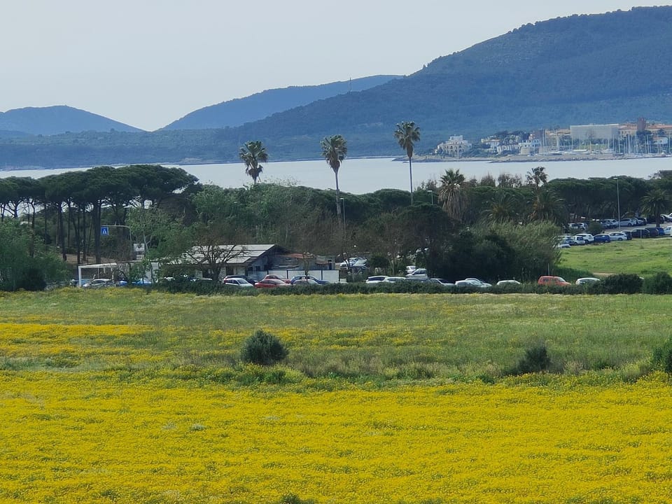 TRAMONTANA BEACH Apartment in Alghero