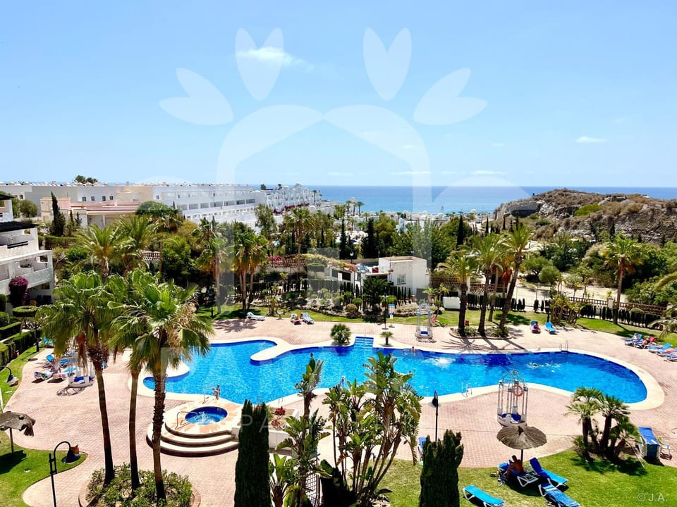 Summer, Beach, Garden view, Swimming pool, sunbed