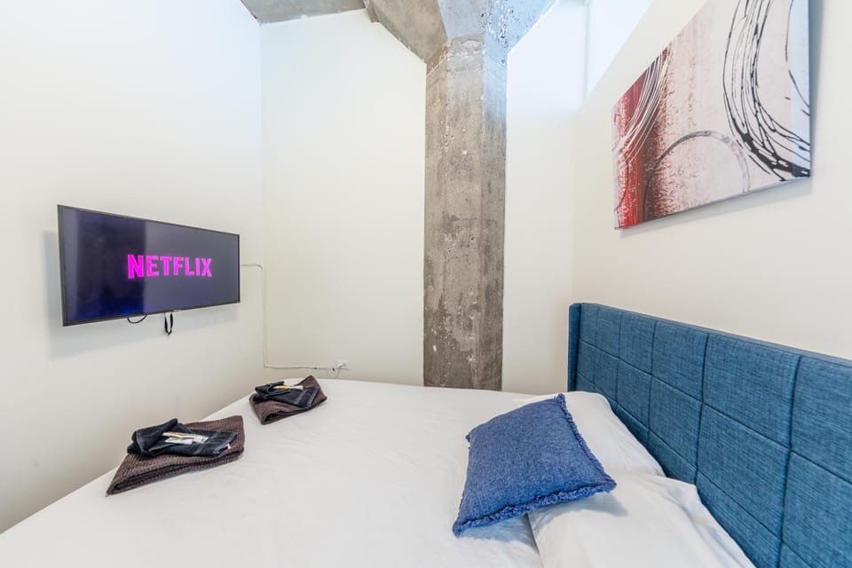 Modern and Bright 2BR on Michigan Ave with Optional Parking and Gym Access Near Soldier Field & Grant Park Apartment in South Loop