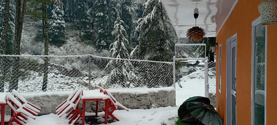 Property building, Restaurant/places to eat, Natural landscape, Winter