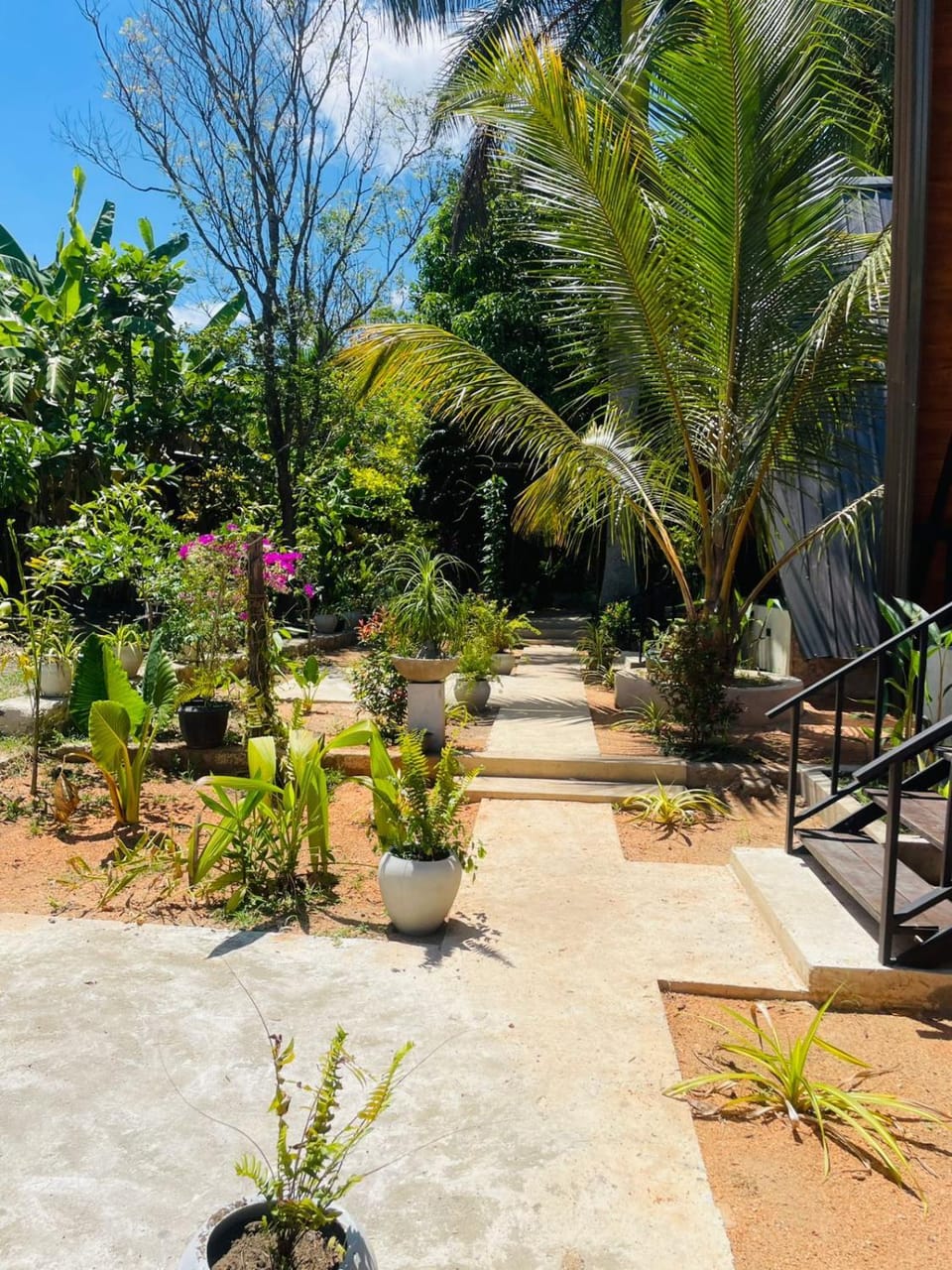 Spring, Day, Garden, Garden view