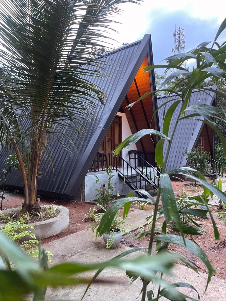Property building, Garden, Garden view