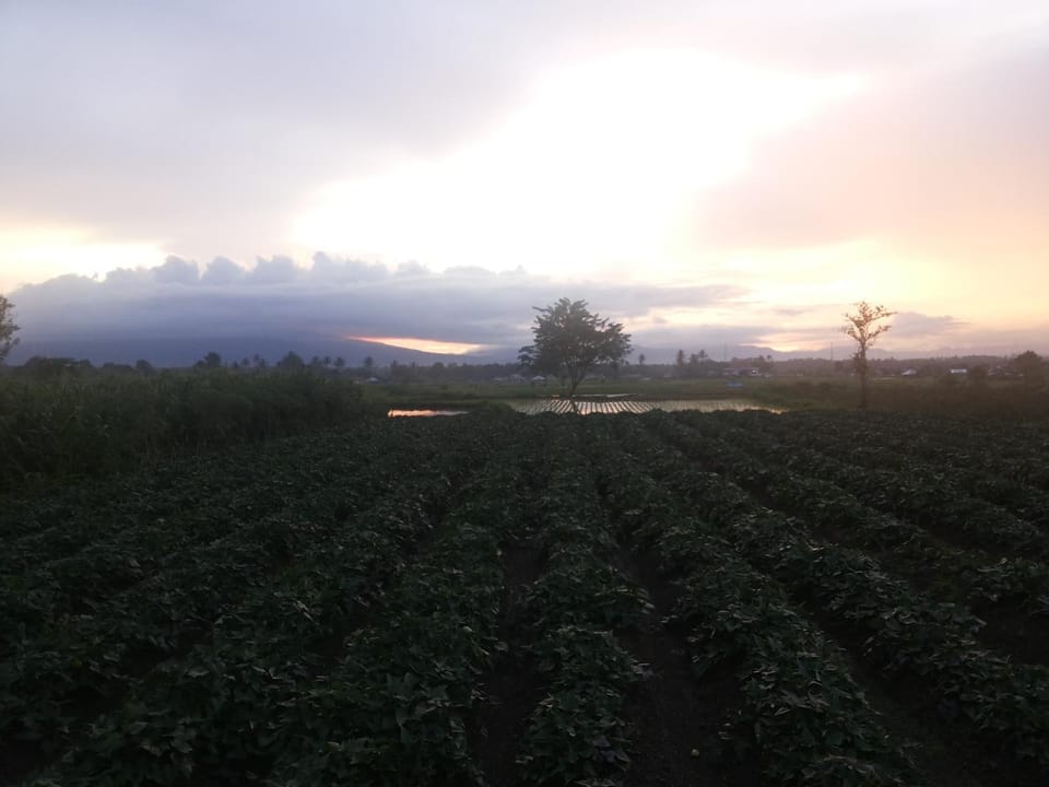 Natural landscape