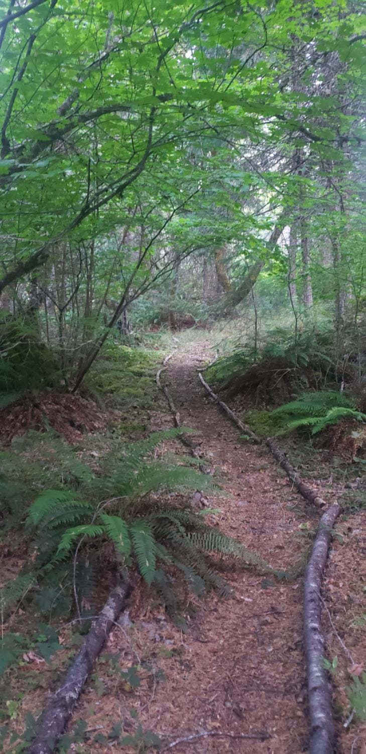Natural landscape, Hiking